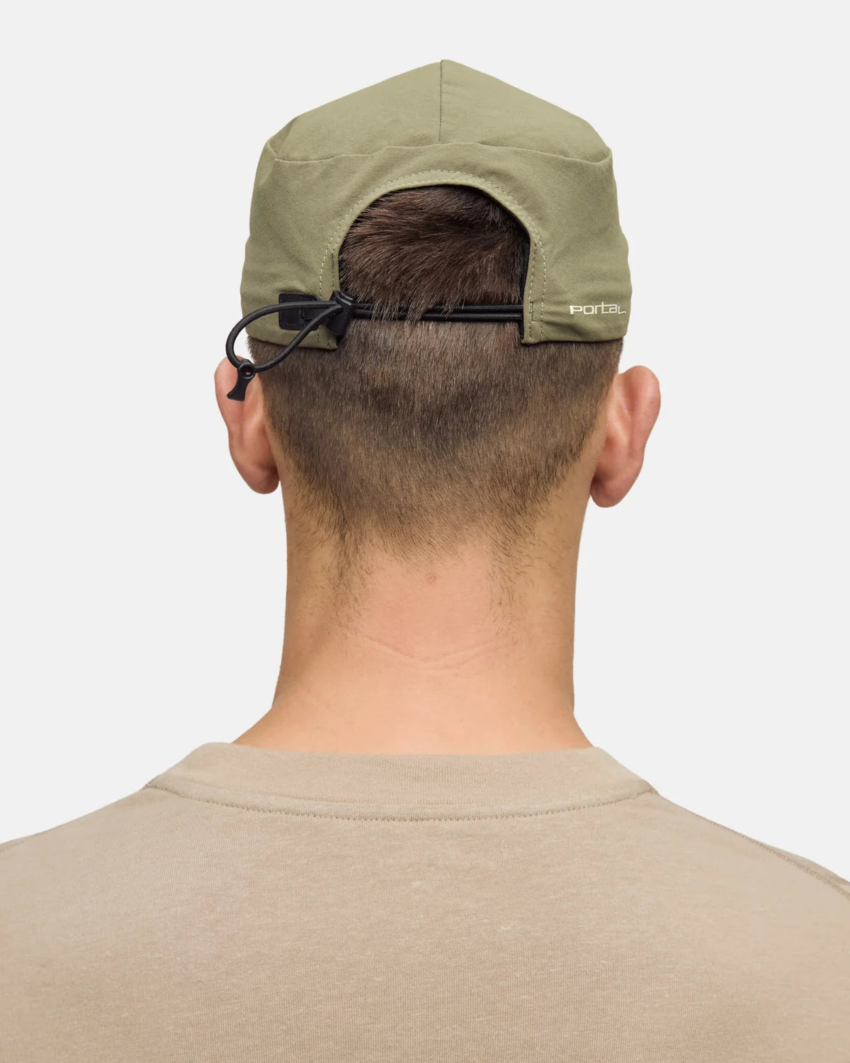 Radius Cap Sea Turtle